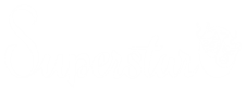 Logo website